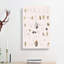 Types Of Seashells PL. 4 by J.E. De Kay - Wrapped Canvas Painting-55330435