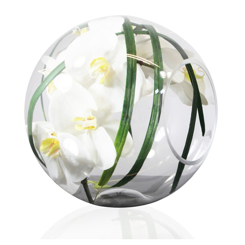 Crosswinds Phaleanopsis Orchids Floral Arrangement in Vase