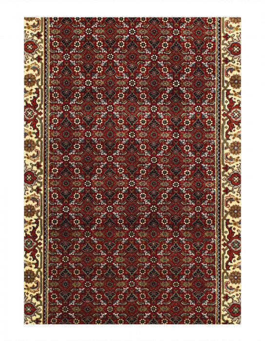 Dichelle One-of-a-Kind 11'08'' x 2'07'' Hand Knotted Area Rug