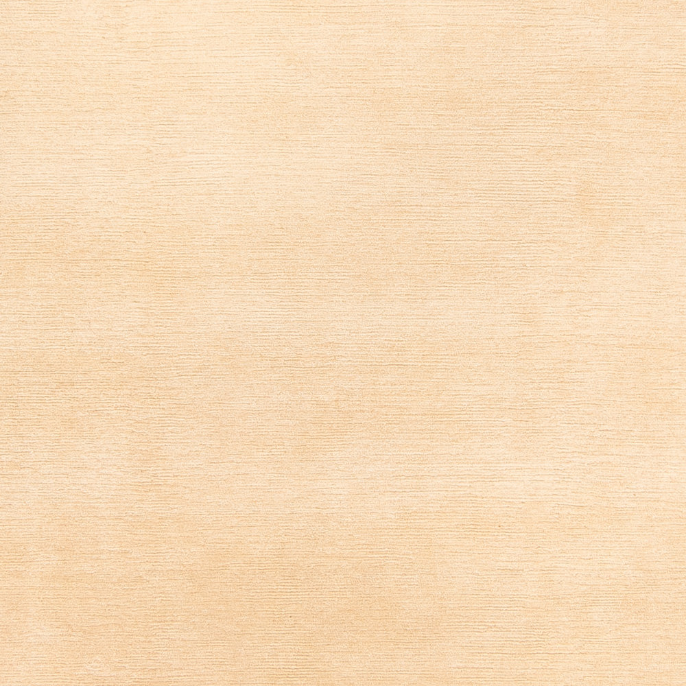 Oriental Nepal Rug - 291 x 200cm - Beige