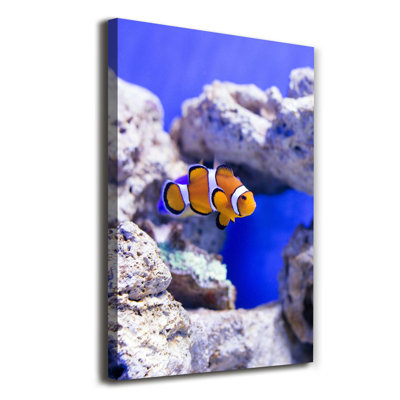 Nemo Fish - Wrapped Canvas Print
