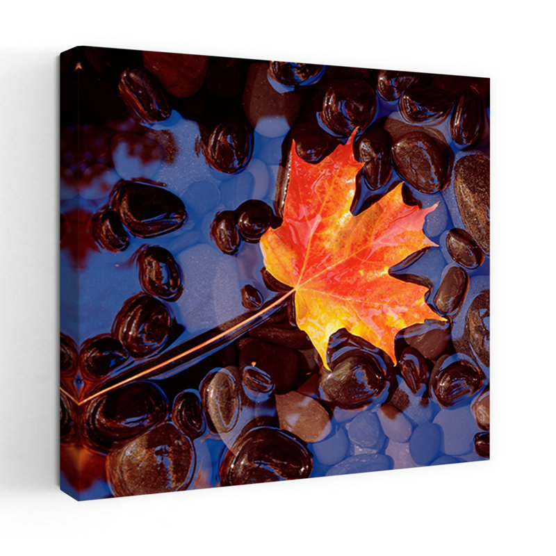 Gros plan d'une feuille d'érable dans l'eau Tranquille abstrait contemporain Mousse d'érable automne Art naturel