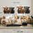 Brampt Hairy Highland Cows-106300136