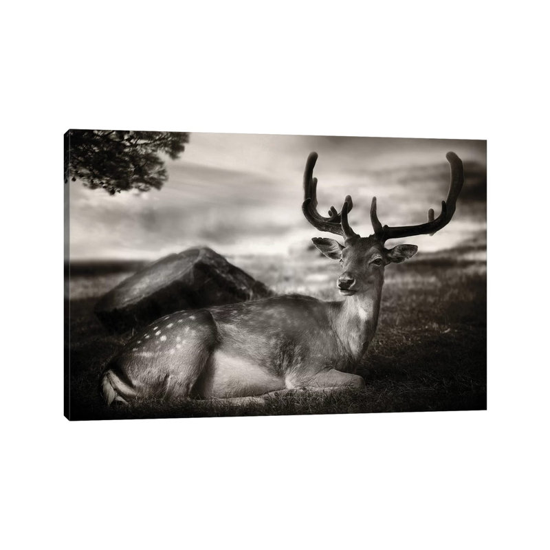 Resting Bambi by Sandra Štimac - Wrapped Canvas Gallery-Wrapped Canvas Giclée, 101.6 cm H x 66.04 cm W x 1.91 cm D