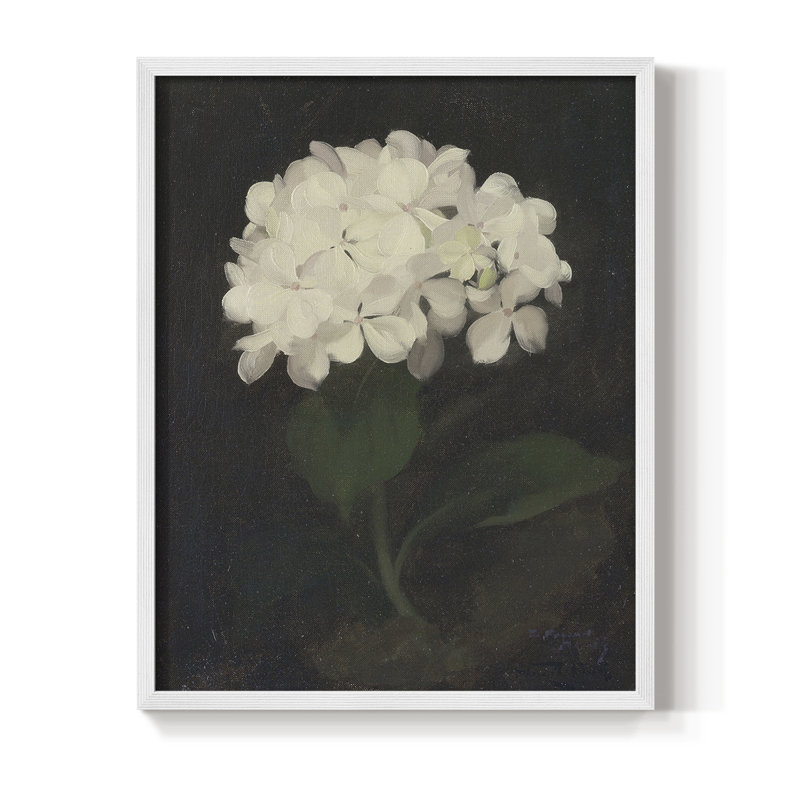 Impression florale vintage encadrée CCXC III - bois massif, H 30 po x l 24 po, Blanc