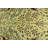 Sharra Pictorial Tribal Handmade 5'10" X 8'11" Wool Area Rug Beige