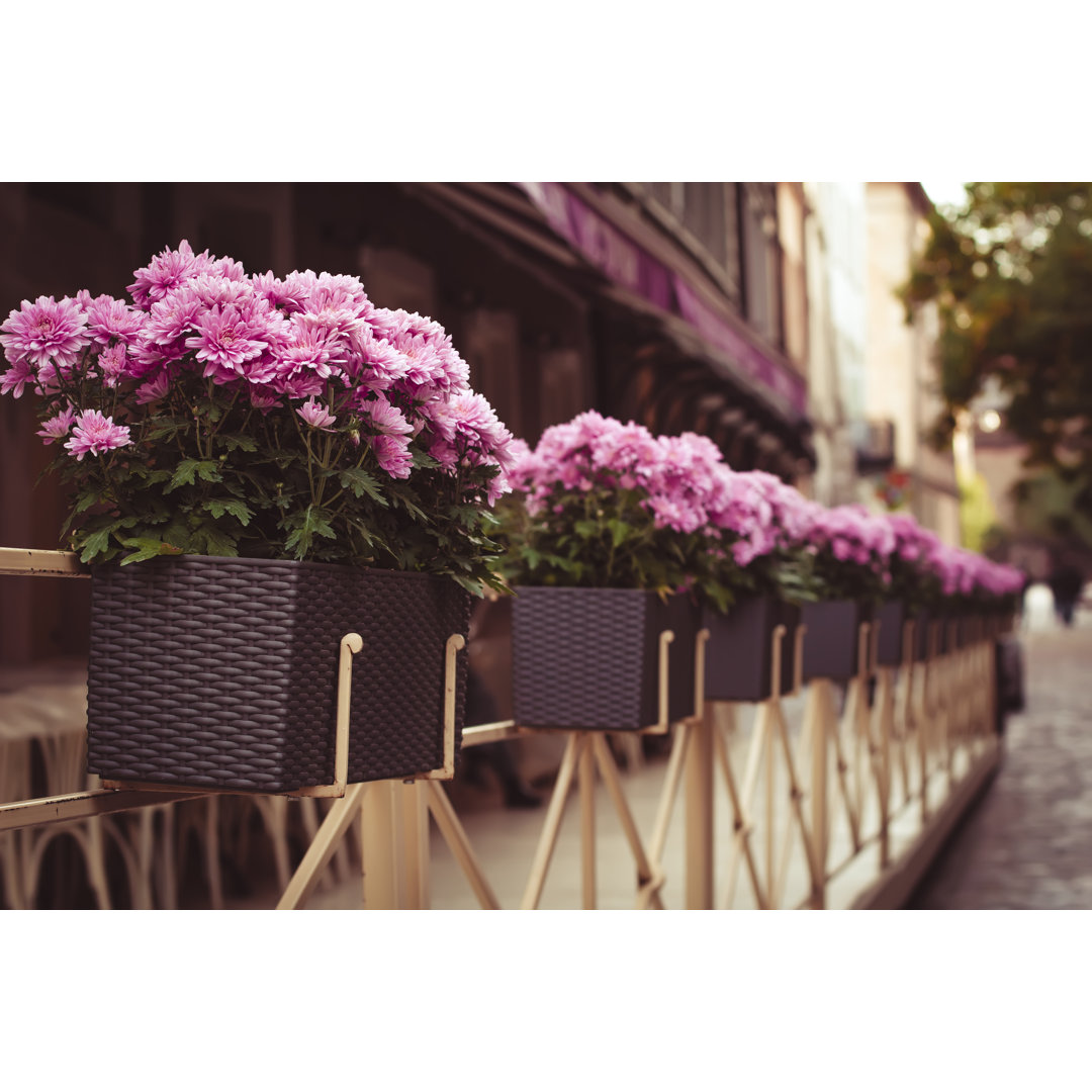 Leinwandbild Blumen in Töpfen in der Nähe des Cafés