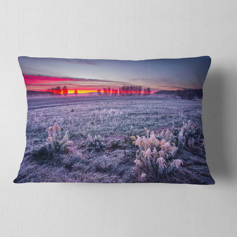 Coussin Schafer
