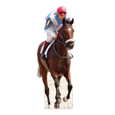 Cheval et jockey