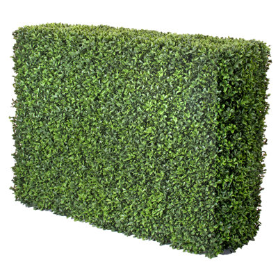 Boxwood Hedge with Base Included
