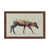 Brown Framed