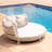Laguno 82.68'' Wide Round Patio Daybed with Cushions