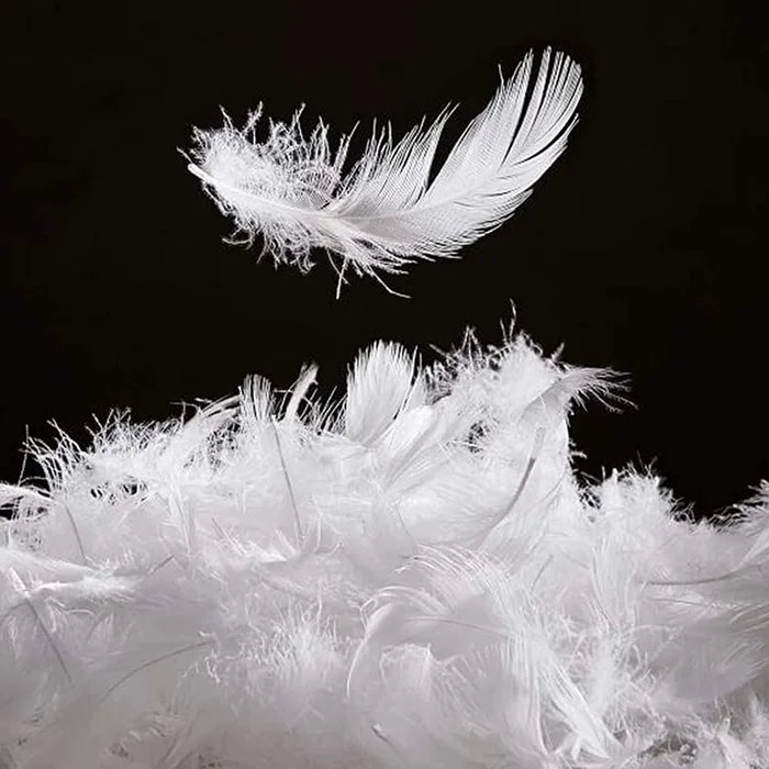 Édredon en duvet et plumes d'oie 100% coton All Seasom - édredon en duvet autonome, Édredon en duvet de taille simple