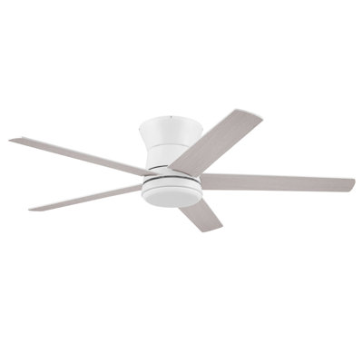 Ventilateur de plafond 52 po Mule Grayson