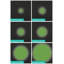 Benedetto LED Projection & Strobe Lights