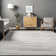 Romolo Abstract Gray Area Rug
