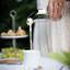 Bernadotte Creamer