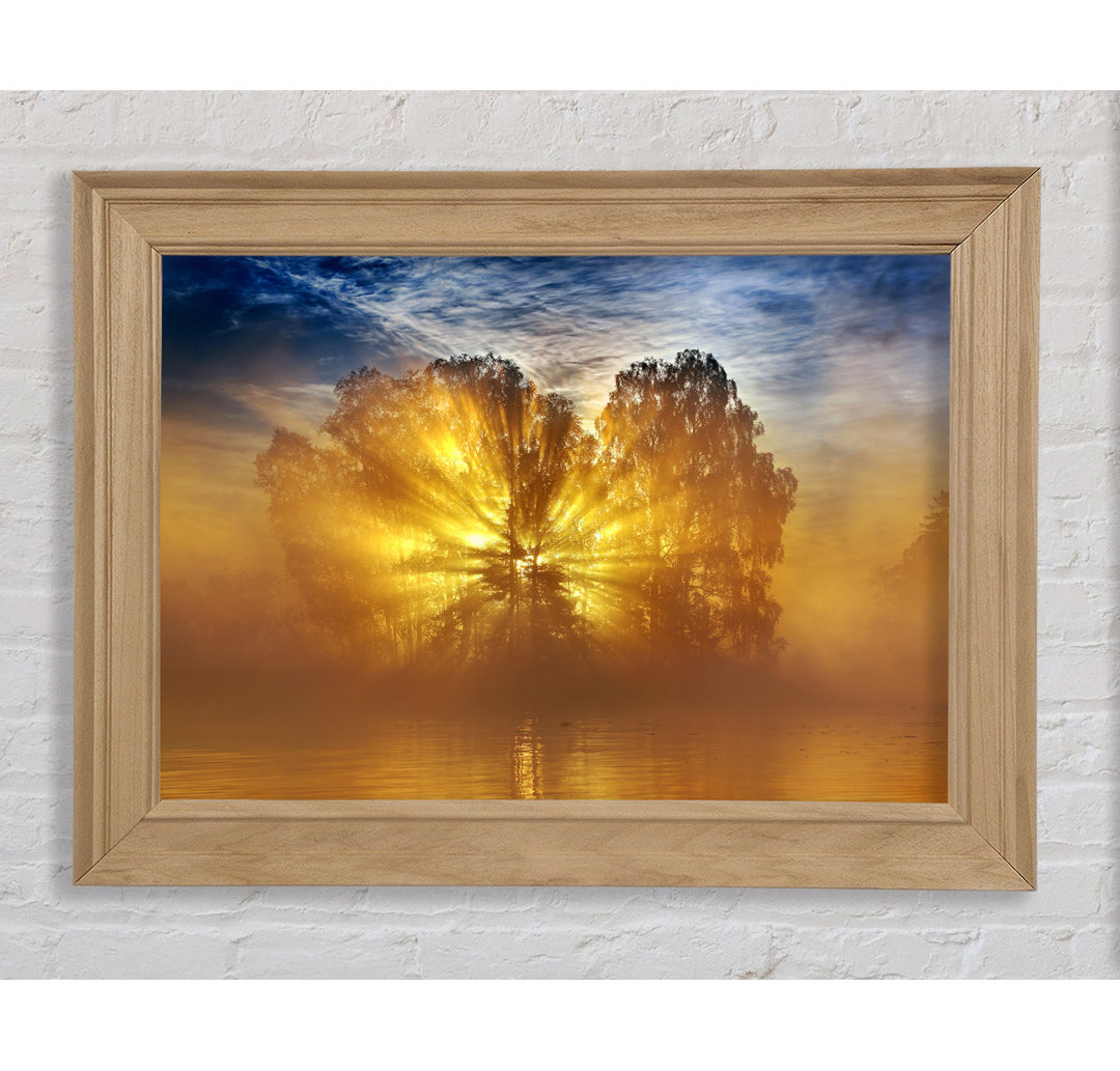 Golden Sunburst Tree - Druck