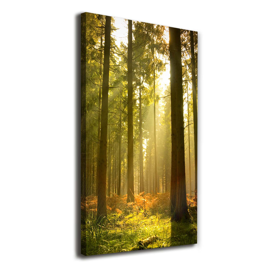 A Beautiful Forest - Kunstdrucke auf Leinwand - Wrapped Canvas