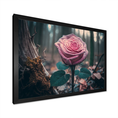 A Blooming Pink Roses in Winter - photographie sur toile
