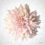 Sweet Dahlia par Michele Norman - Peinture-1000757212-988251411-988251410