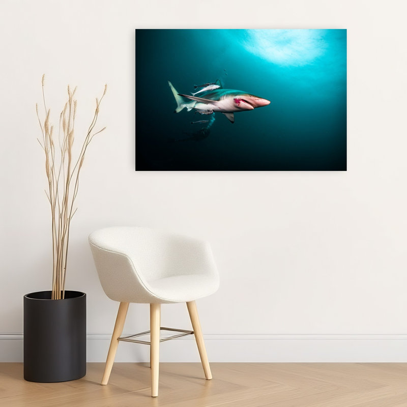 Wild Shark Underwater Abstract Contemporary Fish Shark Nature Ocean Wall Art Print 1 Piece Wrapped Canvas Wall Art
