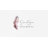 Jessica Simpson Fiona Quilt Sets-123415724
