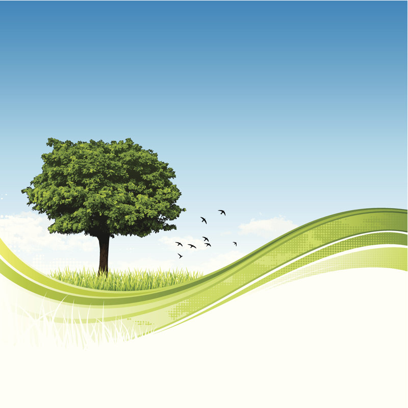 Single Tree Nature Background by Enjoynz - Wrapped Canvas Print, 122cm H x 122cm W