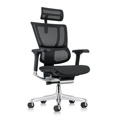 Ergohuman ME2ERG-XTREME High Back Mesh Office Chair by Eurotech Seating