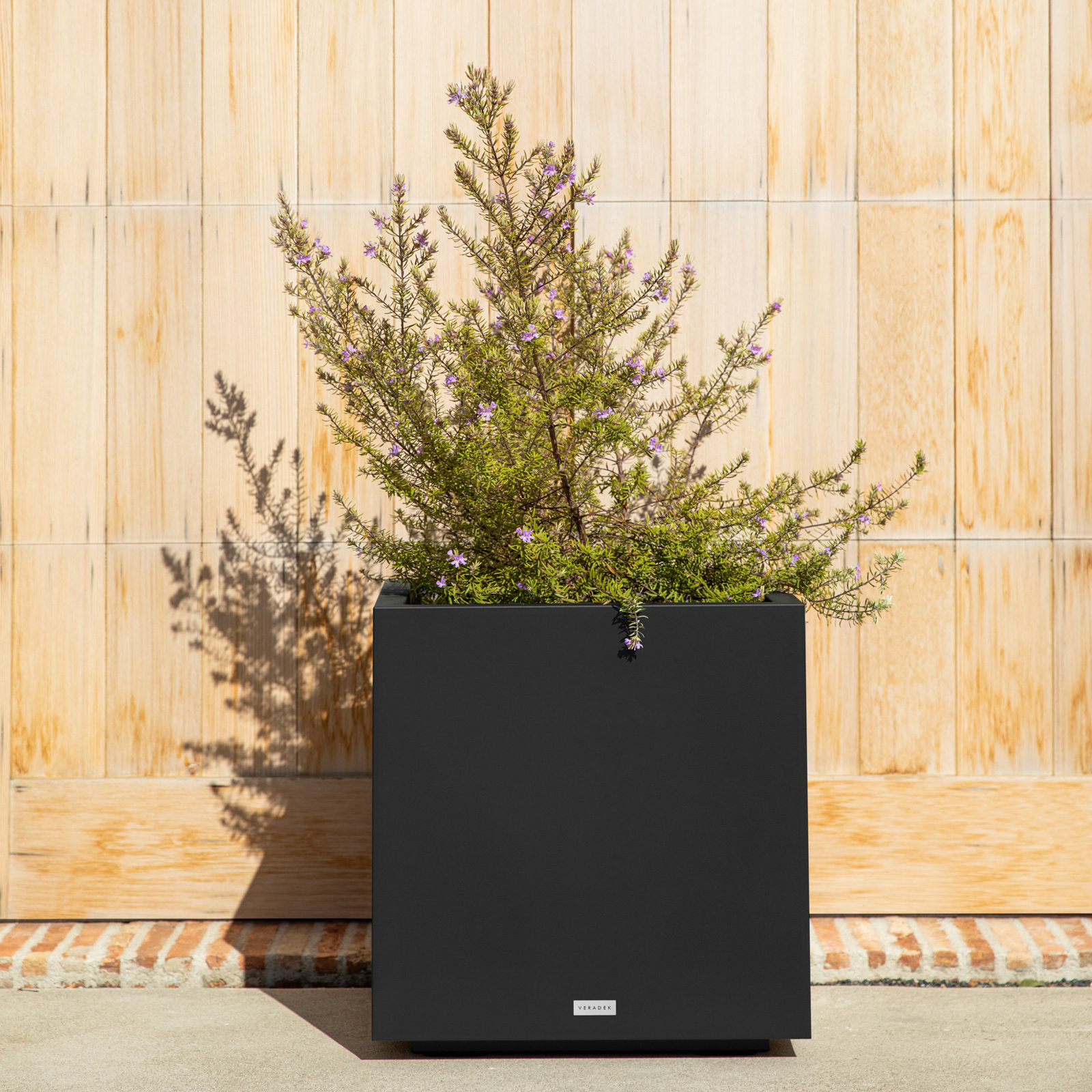 Block Series Cube Planter, 22.25" H x 21" W x 21" D, Black
