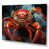 Toile tendue
