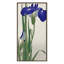 Blue Iris Print by Grand Archives