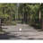 Automated Steel Dual Swing Driveway Gate and Gate Opener Complete Kit – MILAN Style – ETL Listed-72610552