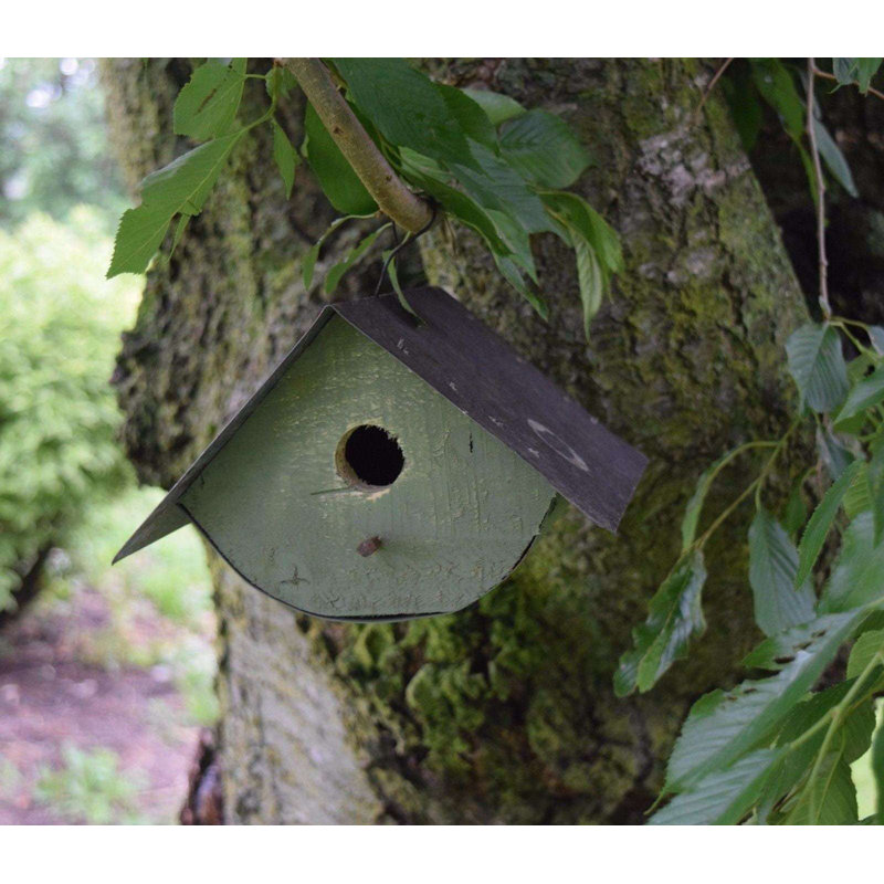Amish Rounded Wren Birdhouse