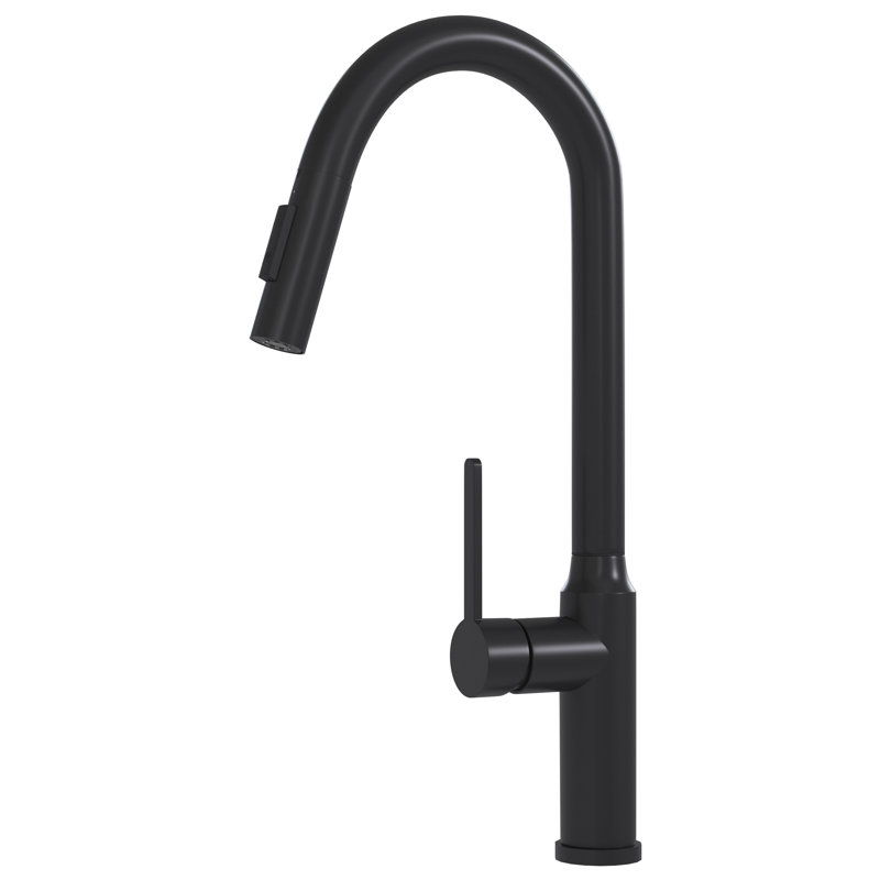 Modern Matt Black Pull-Down Faucet, 19.34", Energy Efficient 19.34" Faucet With Convenient Design, Matte Black