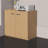 Modern Office Storage Display Filing Cabinets