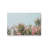 Blossoming Canopy Canvas Print-1050032076-1050032113