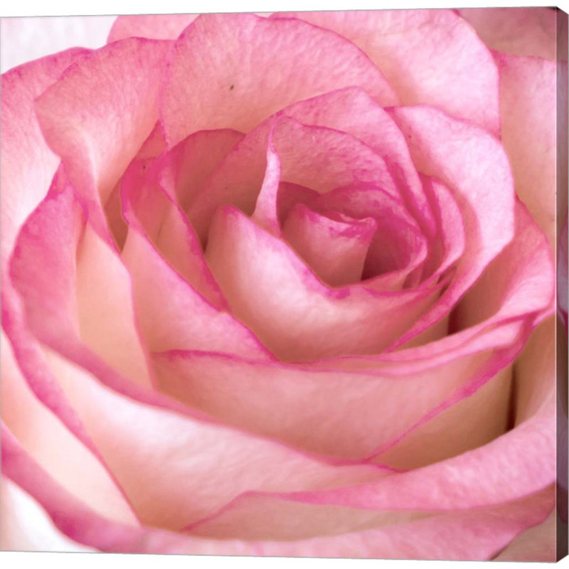 Décoration murale rose Force