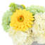 Hydrangea and Sunflower Arrangement in Ridged Vase