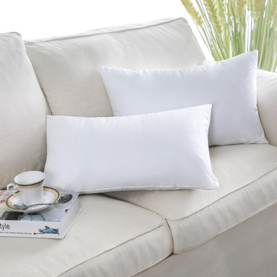 Phantoscope 12" x 20" Reversible Pillow Inserts（Set of 2）