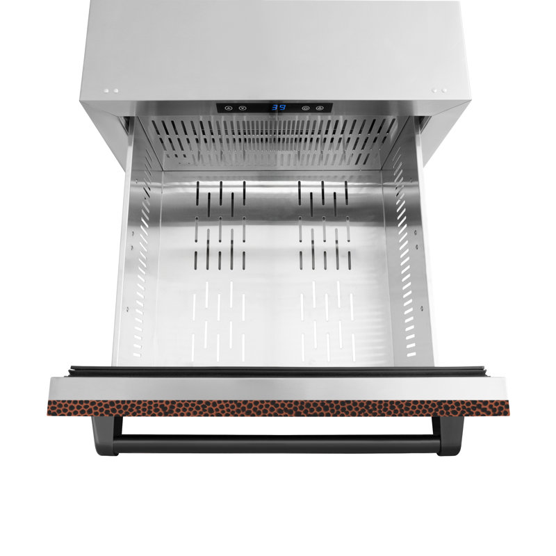Zline 24 In. Touchstone 168 Can Outdoor Refrigerator Drawer W/ Hand Hammered Copper Doors