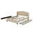Queen Size Upholstered Platform Bed With Wingback Headboard, Trundle And Drawers-2005472821