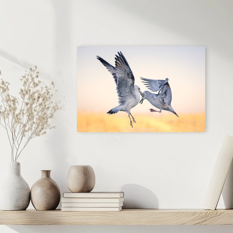Seagulls In Golden Skirmish Abstract Contemporary Seagull Bird Landscape Nature Wall Art Print 1 Piece Wrapped Canvas Wall Art