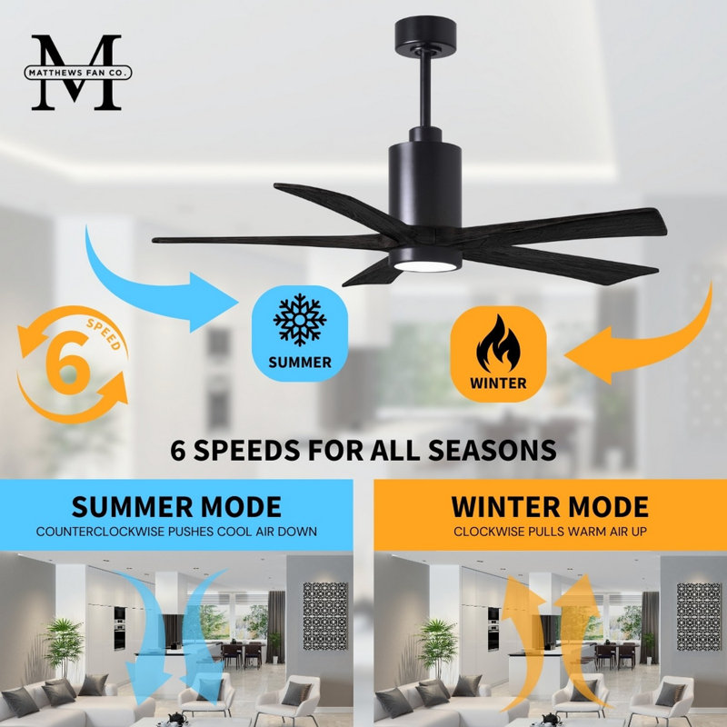 Patricia LED Downrod Ceiling Fan, Matte Black, Matte Black