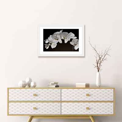 " Orchids "