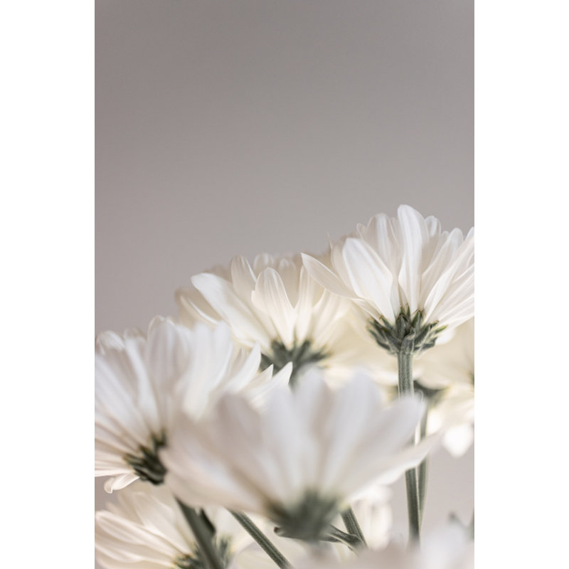 Wrapped Canvas Print, 76.2 cm H x 50.8 cm W
