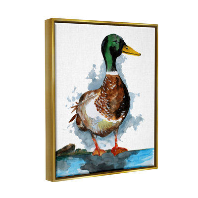 " Mallard Duck Water's Edge "