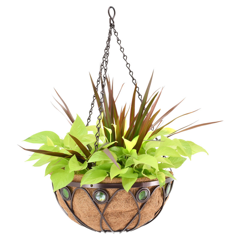 Rodden Metal Hanging Planter, 5.2" H x 14.17" W x 14.2" D
