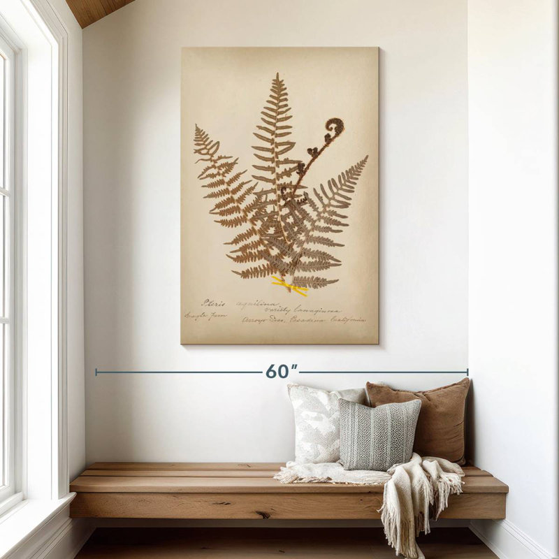 Harnek Ferns In Book, H 48 po x l 32 po