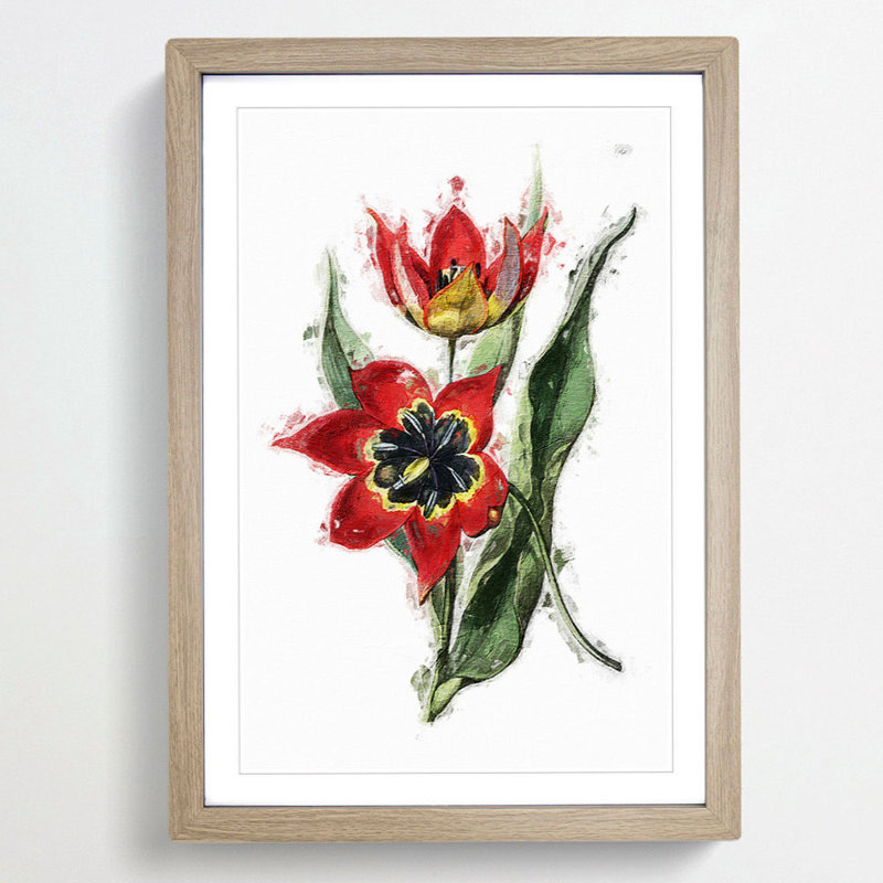 Red & Black Tulip Flowers - Picture Frame Painting Print, Oak Framed, 65cm H x 48cm W x 2cm D